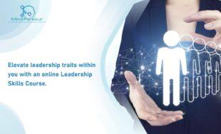 Online Leadership Skills Course